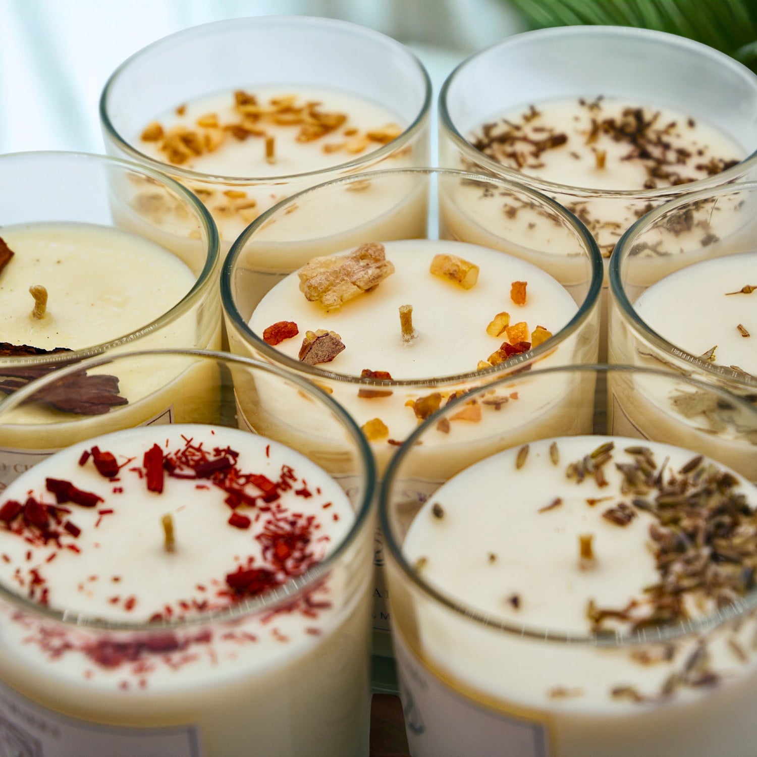 Candele di soia artigianali profumate con fragranze naturali e ingredienti decorativi in vetro trasparente