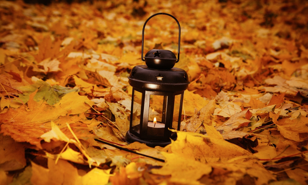 Consigli di benessere per il mese di novembre 🍁