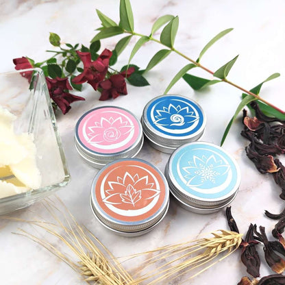 Set 4 stagioni - Burri naturali per il corpo (primavera, estate, autunno, inverno)